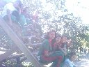 Boletines