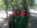 Boletines