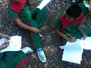 Boletines