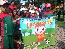 Boletines