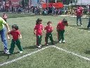 Boletines