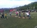 Boletines