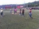Boletines