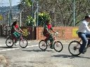 Boletines