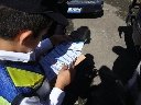 Boletines