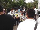 Boletines