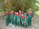 Boletines