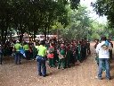 Boletines