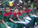 Boletines