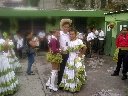 Boletines