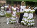 Boletines