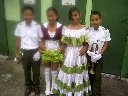 Boletines