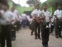 Boletines