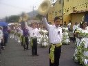 Boletines