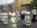 Boletines