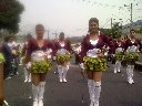 Boletines