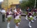 Boletines
