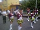 Boletines