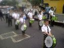 Boletines