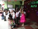 Boletines