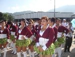Boletines