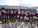 Boletines
