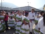 Boletines