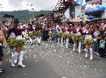 Boletines