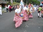 Boletines