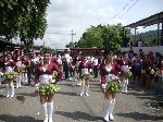 Boletines