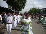 Boletines