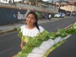 Boletines