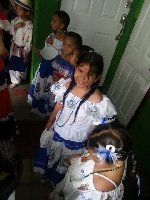 Boletines