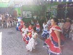 Boletines