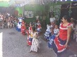 Boletines