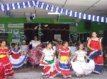 Boletines