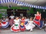 Boletines