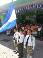 Boletines