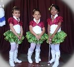 Boletines