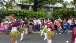 Boletines