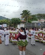 Boletines