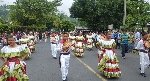 Boletines