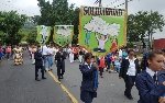 Boletines