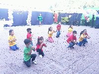 Boletines