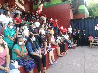 Boletines