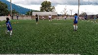 Boletines