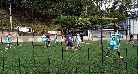 Boletines