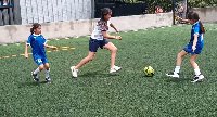 Boletines
