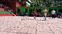 Boletines