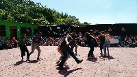 Boletines